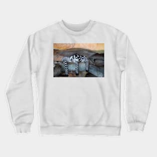 Sweet Lemurs Crewneck Sweatshirt